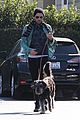 quinto-pup