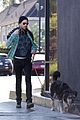 quinto-pup