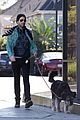 quinto-pup