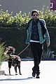 quinto-pup