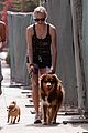 seyfried-dfinn