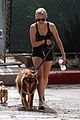 seyfried-dfinn