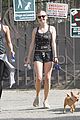 seyfried-dfinn