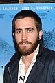 gyllenhaal-shannon
