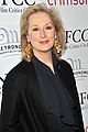 streep-viola