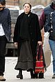 cotillard-phoenix
