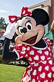 paula-minnie