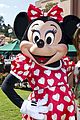 paula-minnie