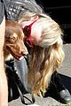 seyfried-finn
