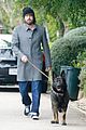 affleck-dog