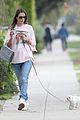 ale-dogwalk