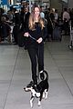 swank-gaulle