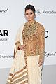 aishwarya-amfar