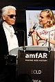 kruger-amfar