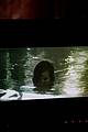 rihanna-behind