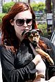 rumer-puppy
