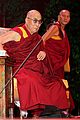 brand-dalai