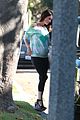 fox-pregnant-walk