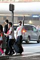 levine-lax