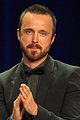 breakingbad-tca