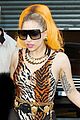 gaga-leopard