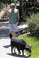 quinto-dogwalk