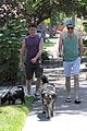 quinto-dogwalk