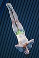 daley-prelim