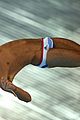 daley-prelim