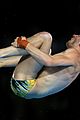 daley-prelim
