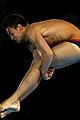 daley-prelim