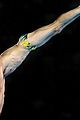 daley-prelim