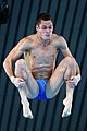 daley-prelim