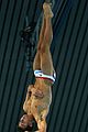 diving-finals