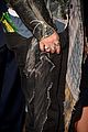 depp-memphis