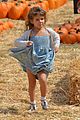 alba-pumpkin