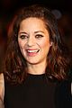 cotillard-rustbone