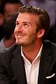 levine-lakers