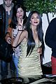 scherzinger-troyer
