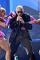 pitbull-amas