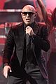 pitbull-amas