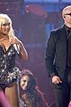 pitbull-amas