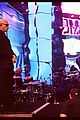 pitbull-amas