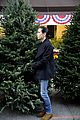 connelly-tree