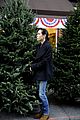 connelly-tree