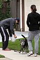kunis-dogwalk