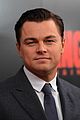 leonardo-foxx