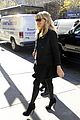 phillippe-tree