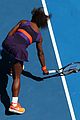 williams-ankle