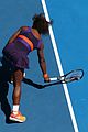 williams-ankle